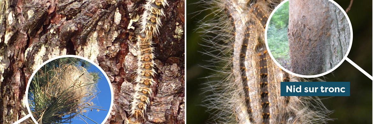 SENS02_CP_Affiche.indd