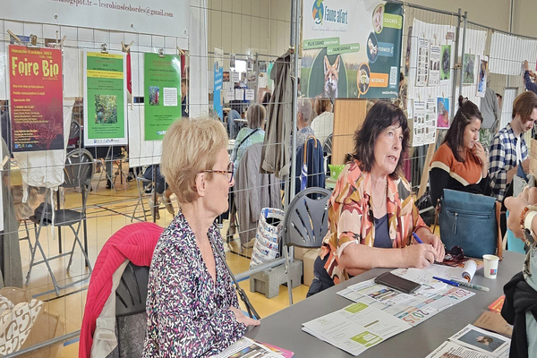 Village des associations 2024
