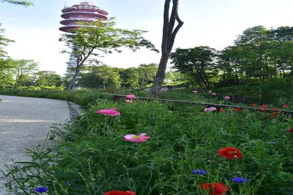 Le Fort en fleurs