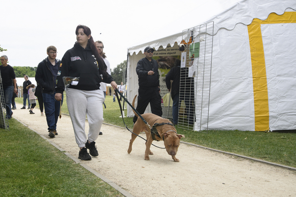 Journée de la nature et du bien-être animal Journée de la nature et du bien-être animal