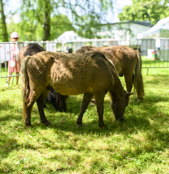 bien-etre-animal-23-05 8