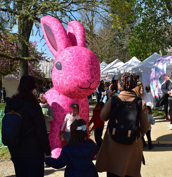 chasse-aux-oeufs-2026 11